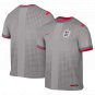 England National Team x Palace Nike 2026 Dri-FIT Pre-Match Top - Gray