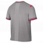 England National Team x Palace Nike 2026 Dri-FIT Pre-Match Top - Gray