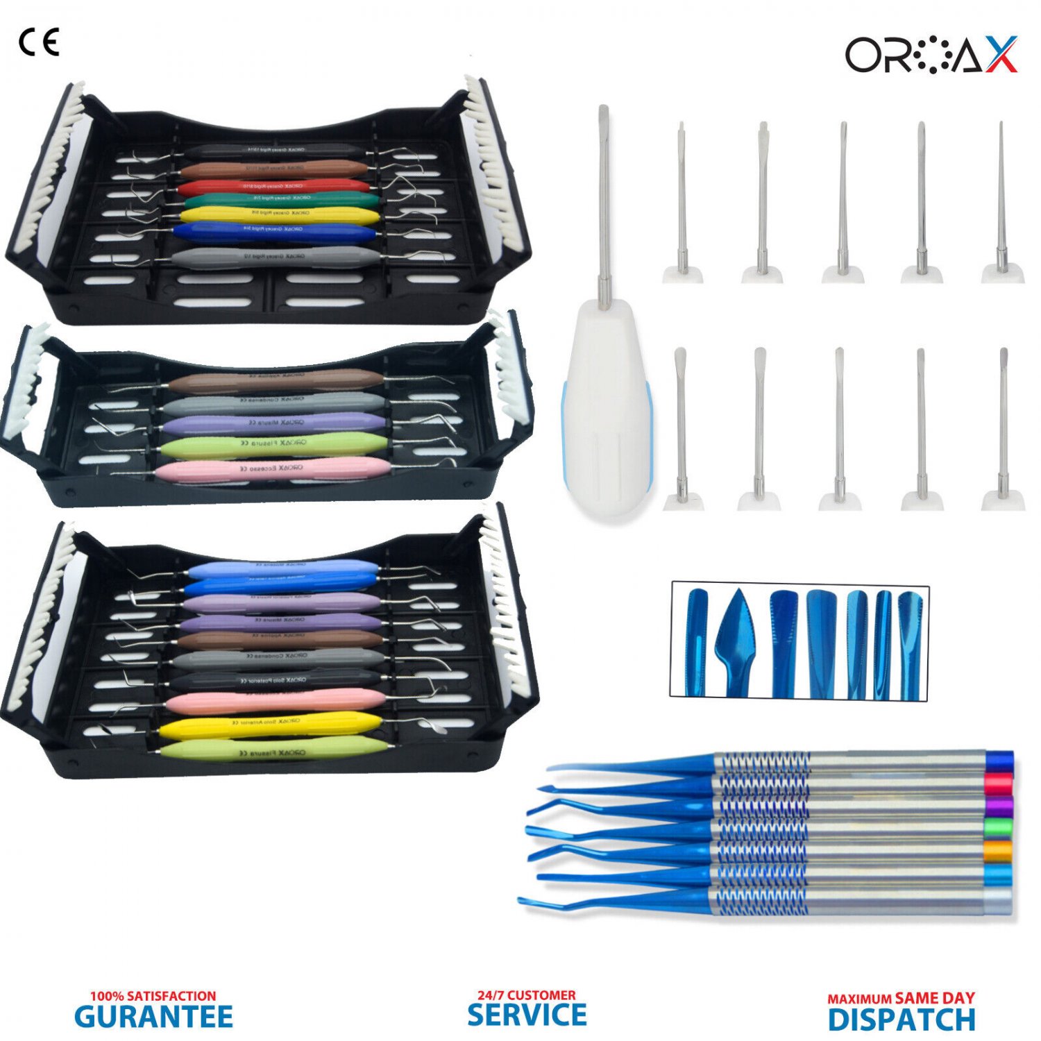 Élévateurs Radiculaires Dentaires PDL - Instruments Pour Extraction Dentaire En Acier Inox