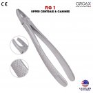 Extracting Forceps #1 Upper Central Canine Dental Extraction Surgical Instrument