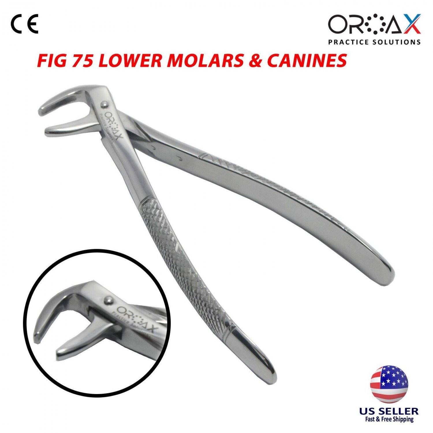 Tooth Extraction Forceps for Lower Premolar Teeth Canine Dentist Fig75 Dentistry