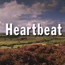 Heartbeat Series 1-18 Every Episode (USB)