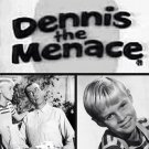 Dennis the Menace S1-4 (Digital Download)