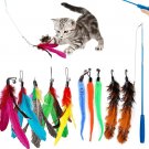 Cat Feather Toys 11Pcs Interactive Kitten Toys indoor Cat Kitten 1Retractable Teaser Wand 10 Feather