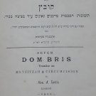 Dam Brit, London, 1900 [Book]