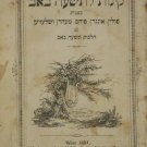 Kinot leTisha beAv, Vienna, 1864 [Book]