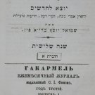 HaKarmel, Vilna, 1875 [Book]