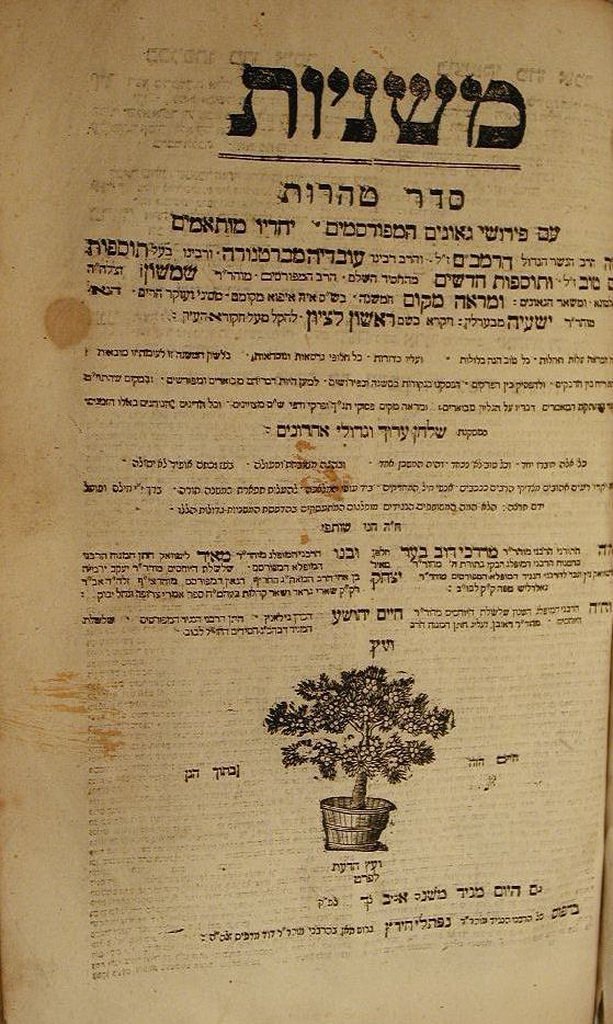 Mishnaiot, Lvov, 1811 [Book]