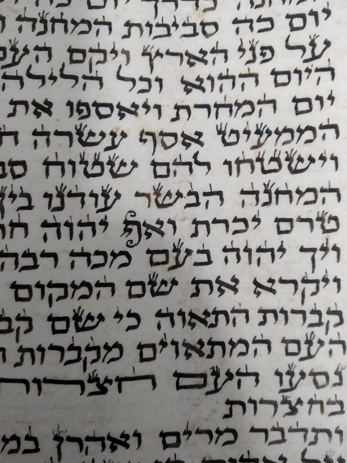 Authentic Antique Sefer Torah Scroll Balkan