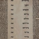 Authentic Megilat Esther Scroll AriZal Purim