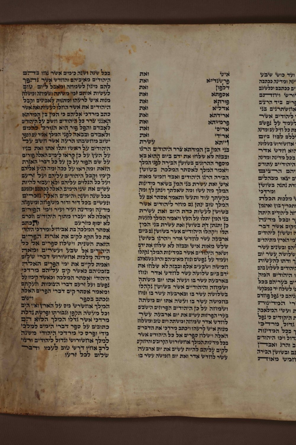 Authentic Megilat Esther Scroll Chabad Purim