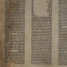 Authentic Megilat Esther Scroll Chabad Purim
