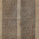 Authentic Ruth Scroll Parchment Shavuot Hebrew