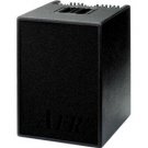 AER Basic Performer Acoustic Guitar Combo Amp