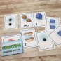 Counting - Busy Bee Preschool Learning - 40 Educational Flash Cards