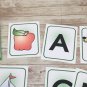 PHONICS - Busy Bee Preschool Learning - 52 Educational Flash Cards