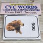 CVC WORDS - Three Part Card set - Cards for Learning Center - Teaching supplies
