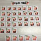 Apple Theme September - 31 Laminated Calendar Squares + Blank Cards