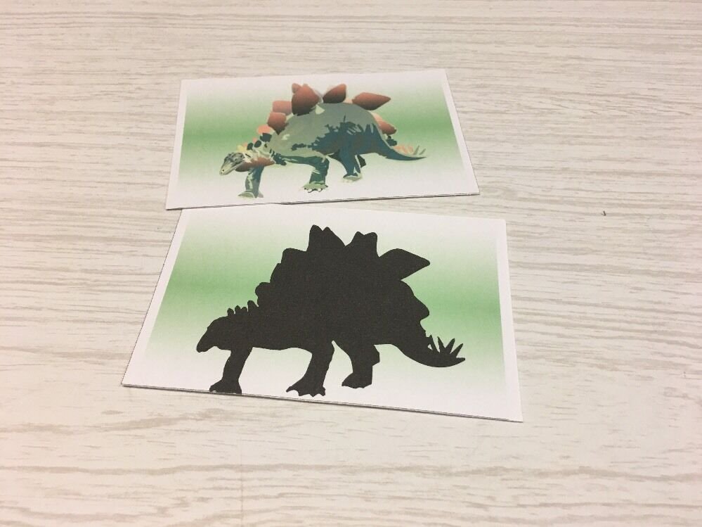 Dinosaur Shadow Matching Laminated Activity Set - Teaching Supplies