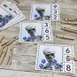 Skeleton count 0 - 20 - Math - Cards for Learning Center 40 Cards