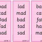 PINK SERIES | Montessori Activity - Word List | Educational Material |