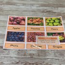Fruits - Food Groups Series - Montessori Three Part Card - (PRINTED) DIY
