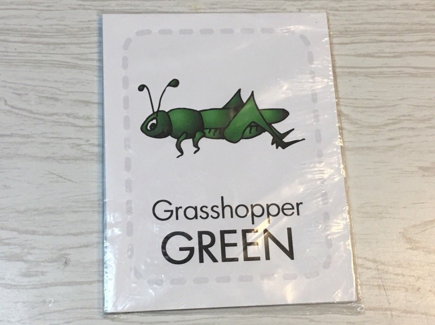 MY COLORS  Preschool  Flash Card set - New Deck On Sale