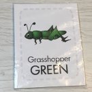 MY COLORS  Preschool  Flash Card set - New Deck On Sale