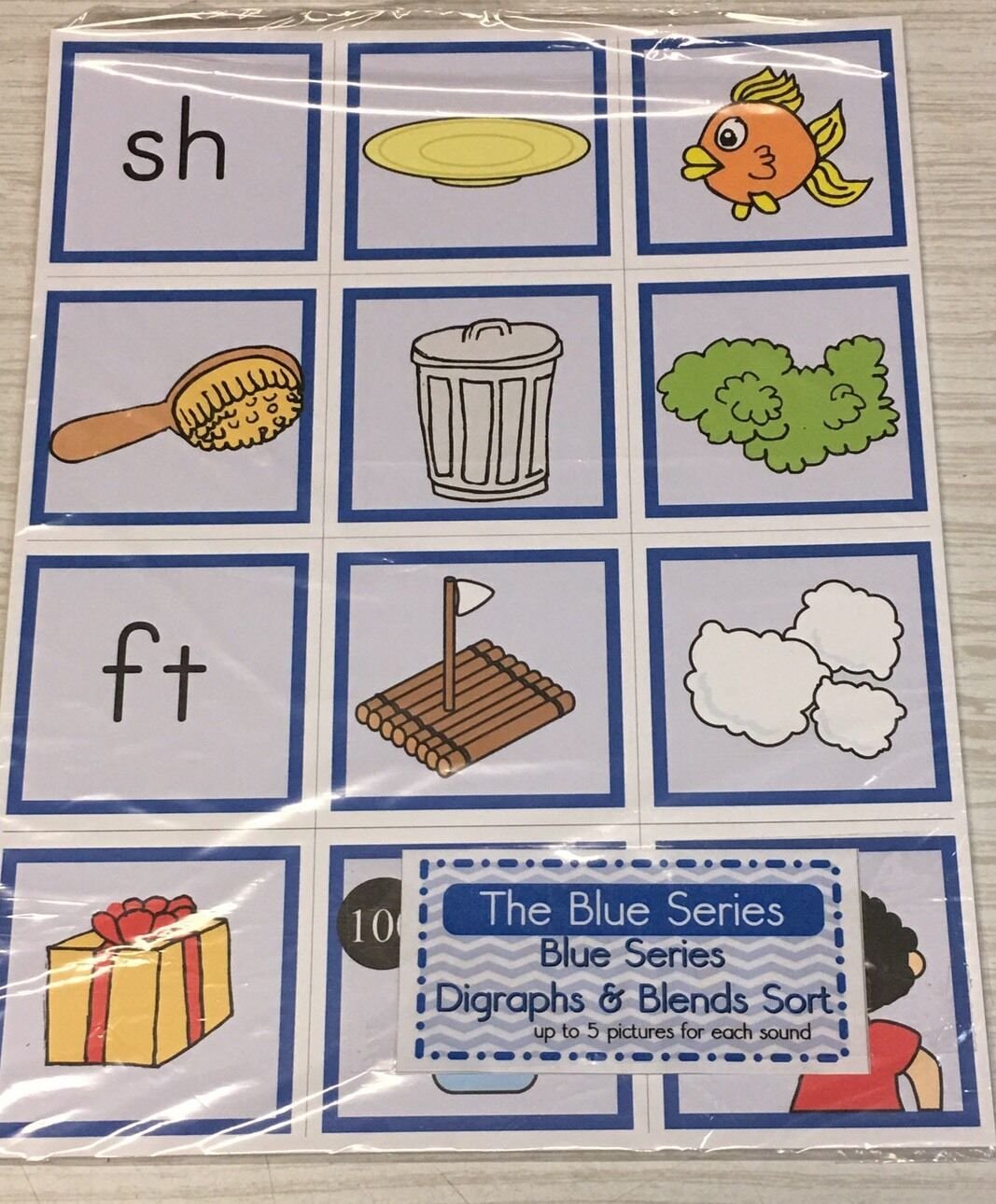 The Blue Series - Ending Consonant Blend Sort (120 Cards) Montessori