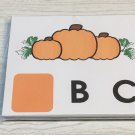 Pumpkin Patch Dry Erase - Laminated Activity Set - Missing  Letters