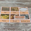 Grains - Food Groups Series - Montessori Three Part Card - (PRINTED) DIY