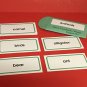 Animals - Basic Vocabulary Cards - ESL - Word Packet #3  - Animals (52 Words)