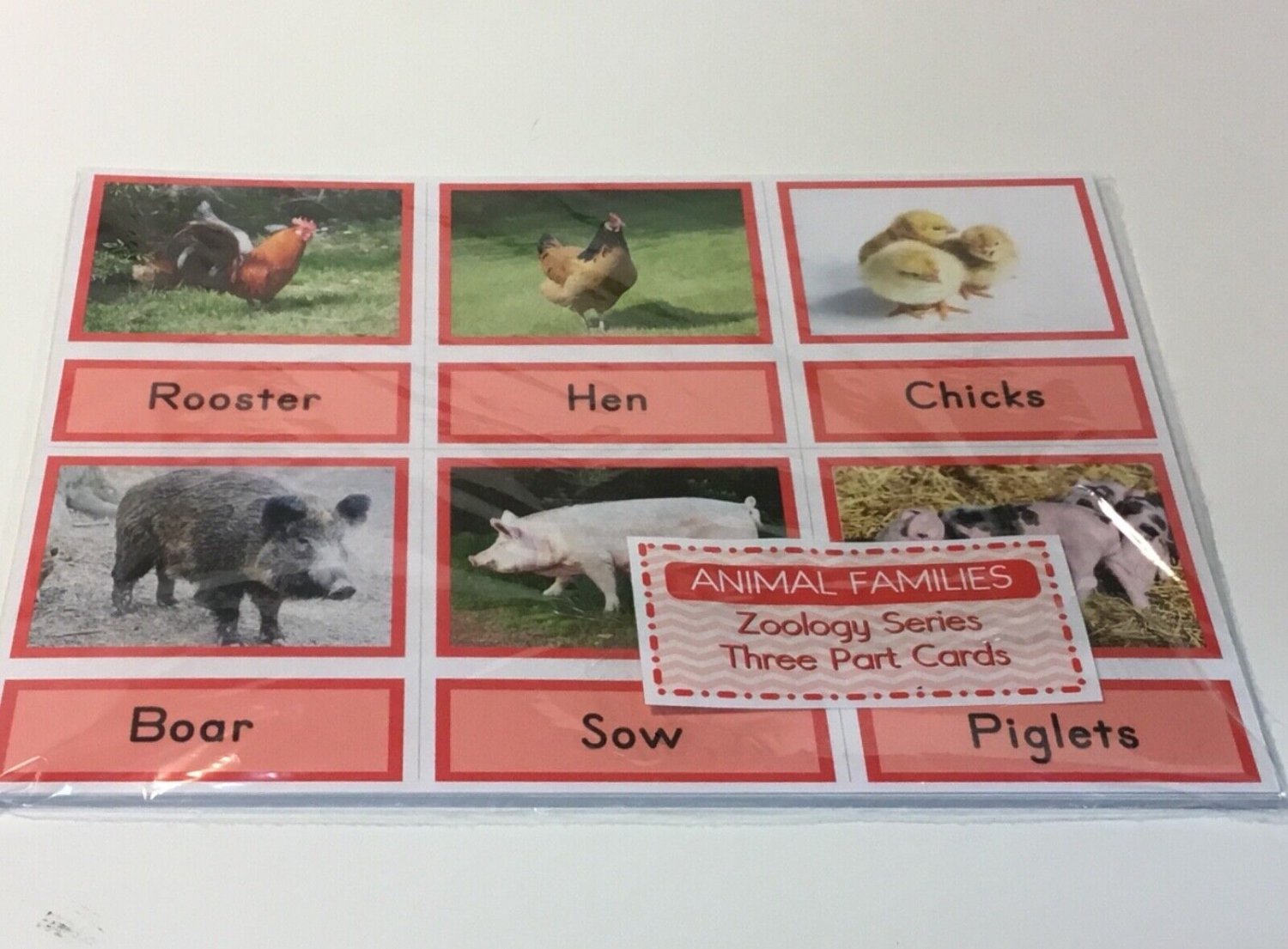 Animal Families - Zoology Series - Montessori Three Part Card 