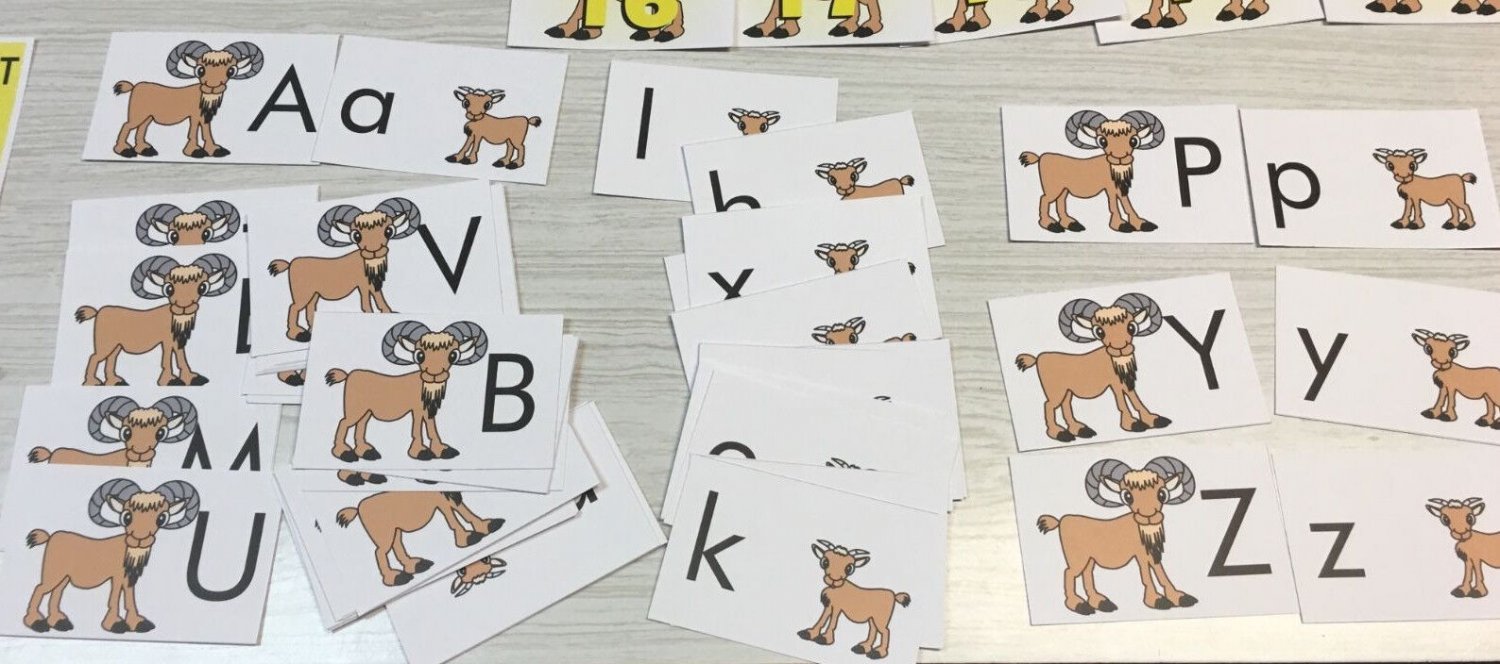 G0AT ABC'S UPPER & LOWERCASE MATCH CARDS -LAMINATED - Teaching supplies