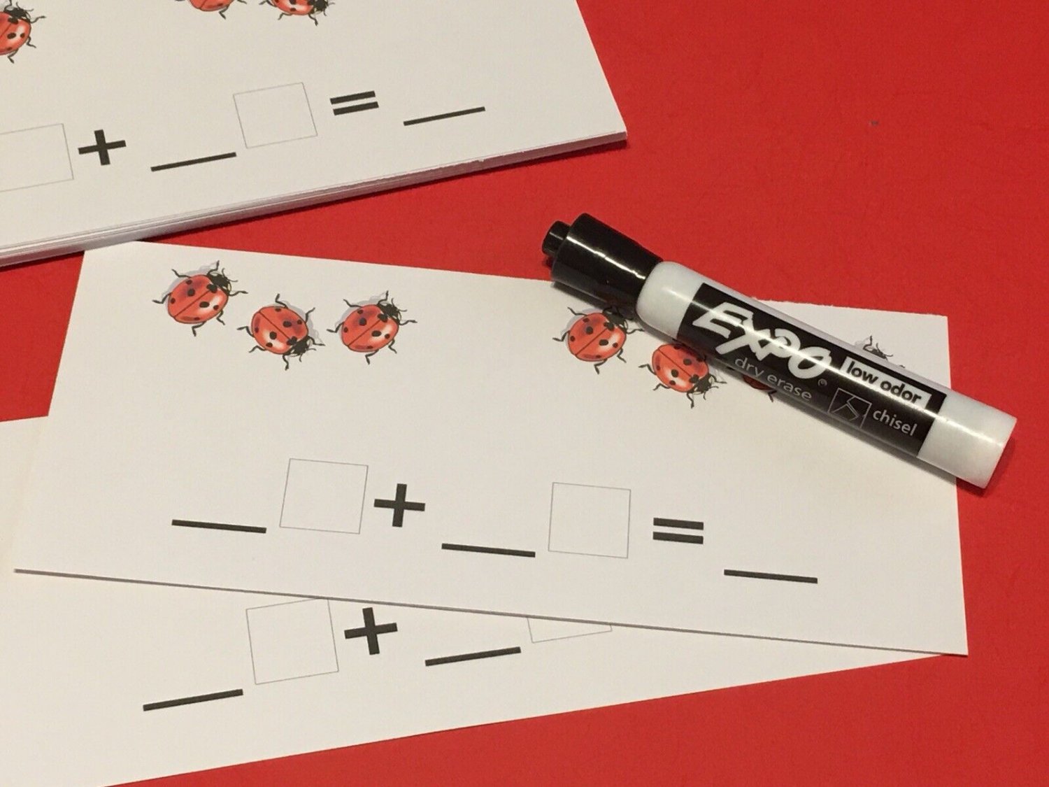 Ladybug Addition Kit Match & Write 21 Pieces Laminated dry erase