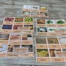Food Groups Series - Montessori Three Part Card - (PRINTED) DIY