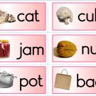 24 BOOKLETS - CVC - Word Families Booklets - Phonics - Early Reader materials