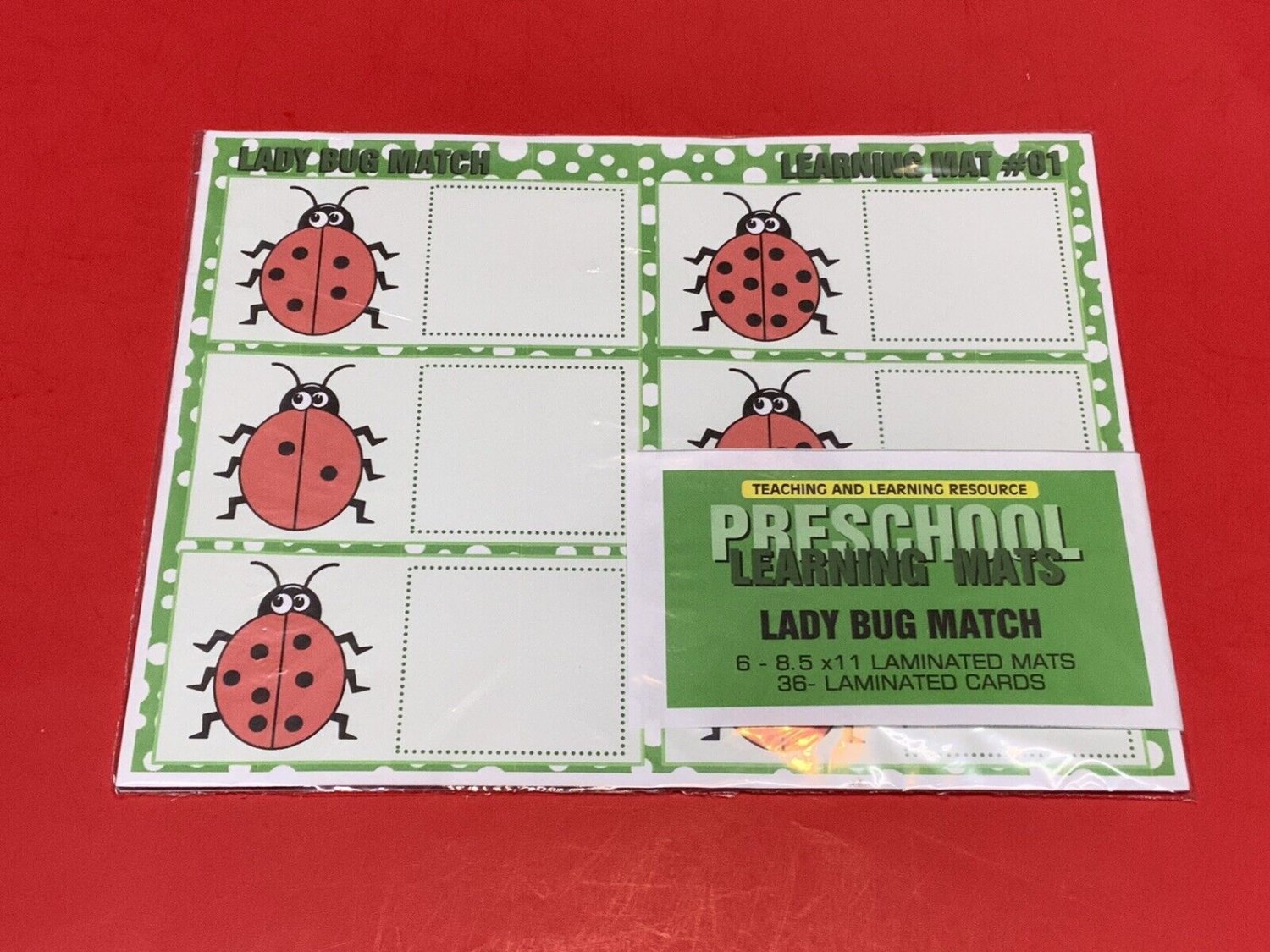 Ladybug Match - Set of 6 Learning Mats / Cards - Laminated Activity