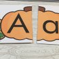 Pumpkin Patch Dry Erase - Laminated Activity Set - Teaching Supply Letter Match