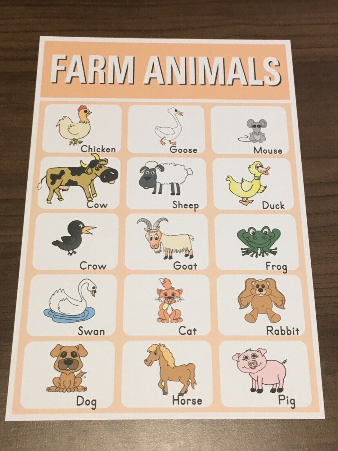 Farm Animals  - 13 x19 - Educational posters for Kindergarten or Preschool