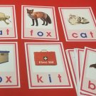 Pink Series Montessori - CVC WORDS & PICTURE CARDS- 52  Laminated Cards
