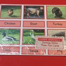 Farm Animals - Zoology Series - Montessori Three Part Card - (PRINTED) DIY