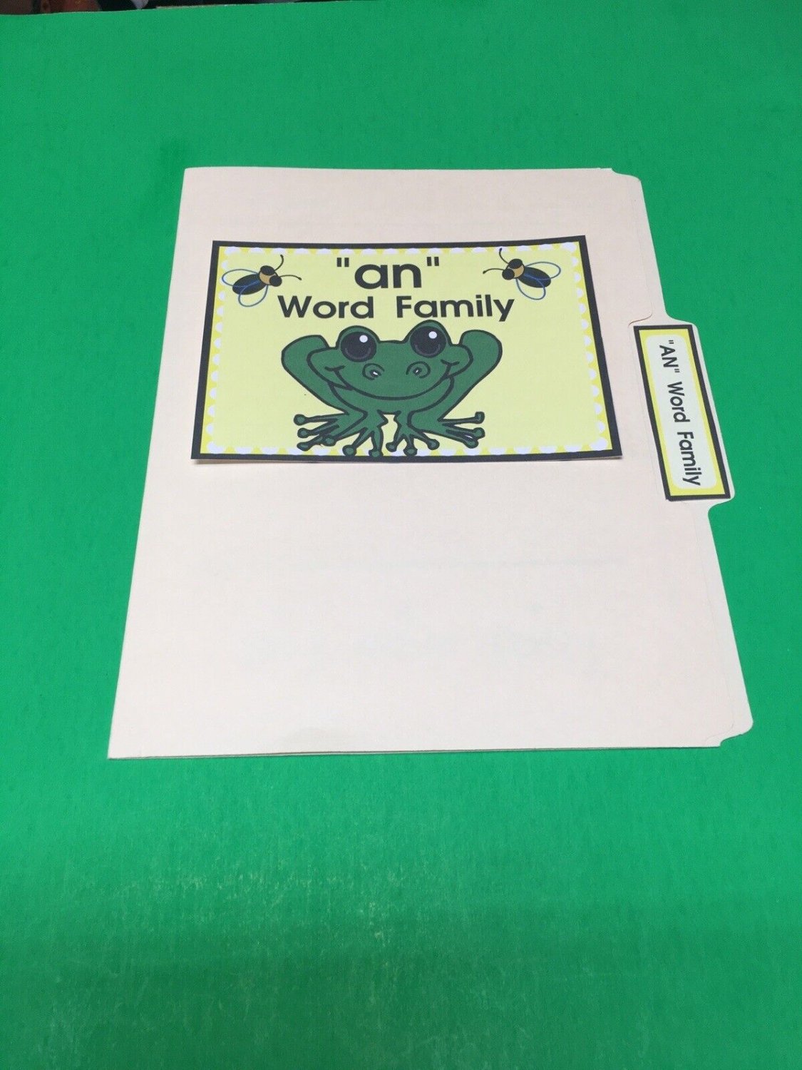 The An Family - Phonics - DIY File Folder game - Printed / Uncut