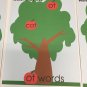 CVC Word Family Tree - Sorting - Laminated Mats and 30 Apple Word cards.