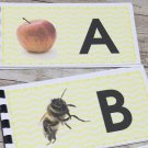 Learning Resource - 26 Alphabet Photo Booklets - preschool - Phonics Learning Resource - 26 Alphabet Photo Booklets - preschool - Phonics