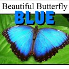 BLUE | Beautiful Butterfly Blue | LEARNING COLORS | Spiral Bound Picture Book BLUE | Beautiful Butterfly Blue | LEARNING COLORS | Spiral Bound Picture Book