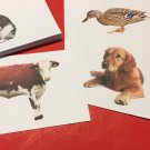 Farm Animals- Picture Cards for Language Development - Kit Two - 8.5 X 5.5
