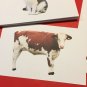 Farm Animals- Picture Cards for Language Development - Kit Two - 8.5 X 5.5