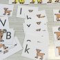 GOATS -THEMED Learning Activities Package -LAMINATED - Teaching supplies