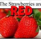 RED | The Strawberries are Red  | LEARNING COLORS | Spiral Bound Picture Book